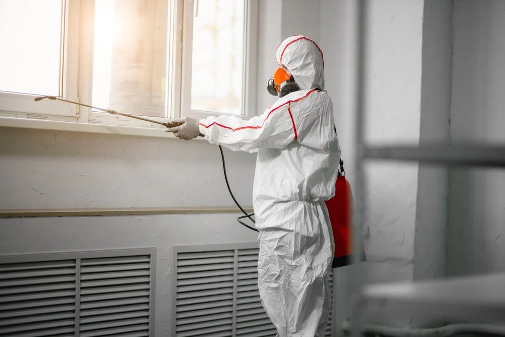 Professional mold remediation services in Alachua, FL